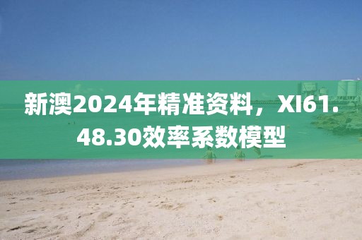 新澳2024年精准资料，XI61.48.30效率系数模型