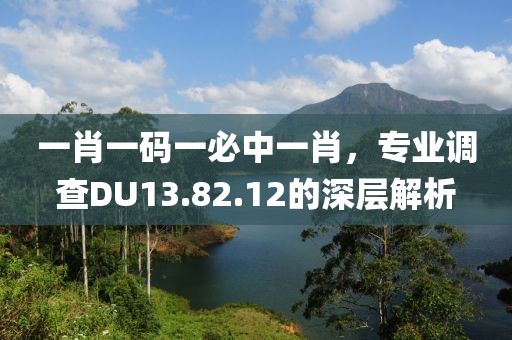 一肖一码一必中一肖，专业调查DU13.82.12的深层解析
