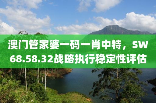 澳门管家婆一码一肖中特，SW68.58.32战略执行稳定性评估