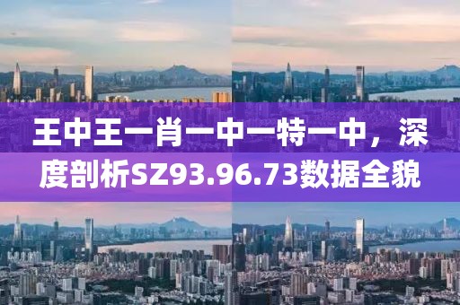 王中王一肖一中一特一中，深度剖析SZ93.96.73数据全貌