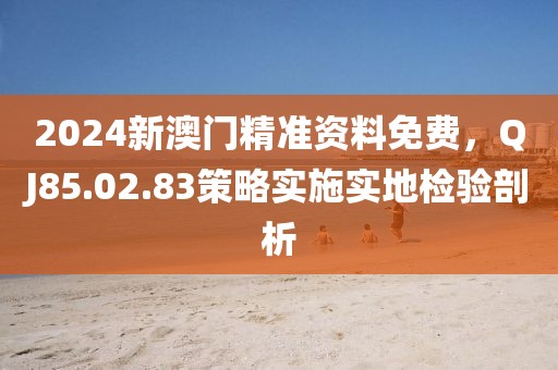 2024新澳门精准资料免费，QJ85.02.83策略实施实地检验剖析