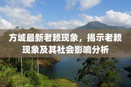 方城最新老赖现象，揭示老赖现象及其社会影响分析
