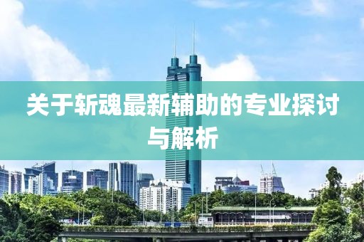 关于斩魂最新辅助的专业探讨与解析