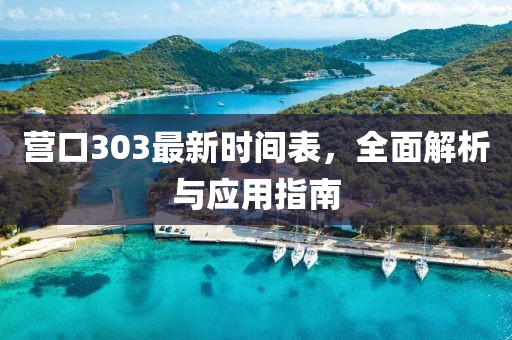 营口303最新时间表，全面解析与应用指南