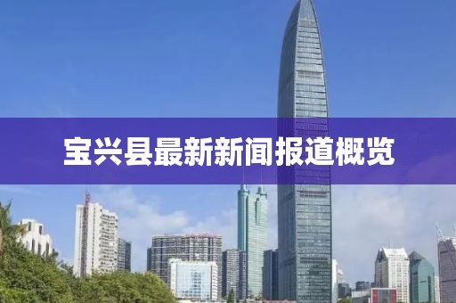 宝兴县最新新闻报道概览