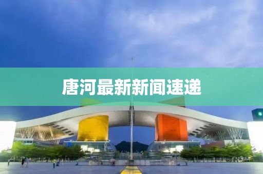 唐河最新新闻速递