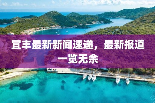 宜丰最新新闻速递，最新报道一览无余