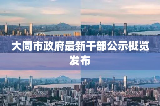 大同市政府最新干部公示概览发布