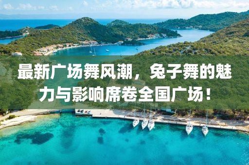 最新广场舞风潮，兔子舞的魅力与影响席卷全国广场！