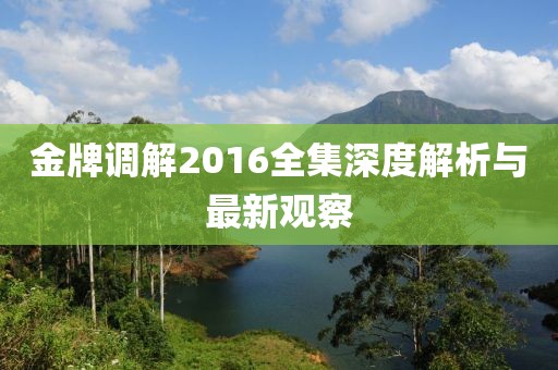 金牌调解2016全集深度解析与最新观察