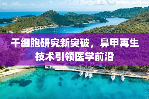 干细胞研究新突破，鼻甲再生技术引领医学前沿