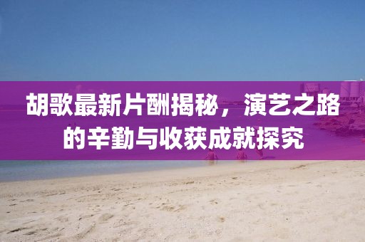 胡歌最新片酬揭秘，演艺之路的辛勤与收获成就探究