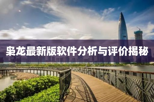 枭龙最新版软件分析与评价揭秘