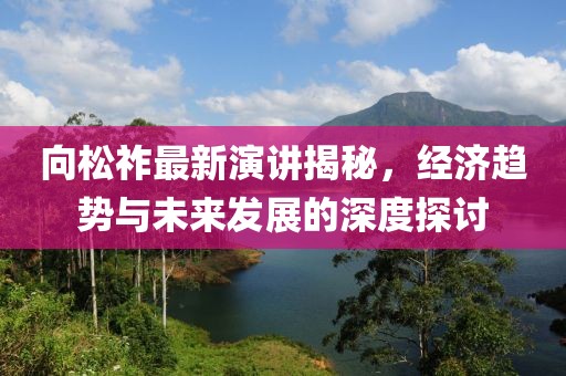 向松祚最新演讲揭秘，经济趋势与未来发展的深度探讨