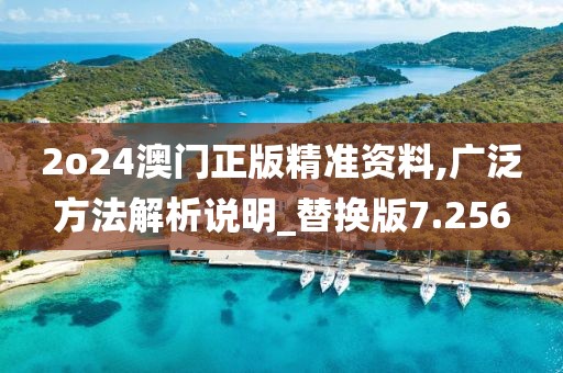 2o24澳门正版精准资料,广泛方法解析说明_替换版7.256