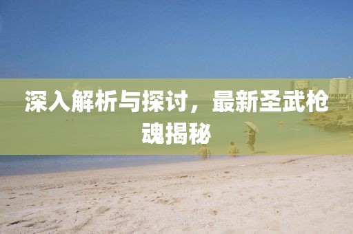 深入解析与探讨，最新圣武枪魂揭秘