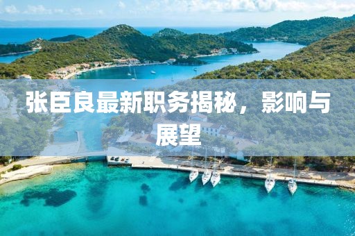 张臣良最新职务揭秘，影响与展望