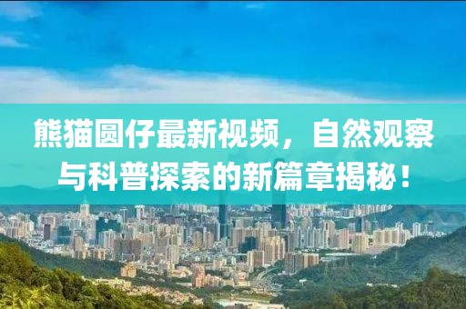 熊猫圆仔最新视频，自然观察与科普探索的新篇章揭秘！
