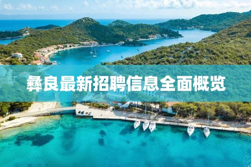 彝良最新招聘信息全面概览