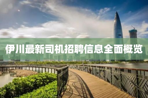 伊川最新司机招聘信息全面概览
