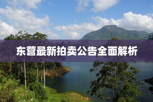 东营最新拍卖公告全面解析