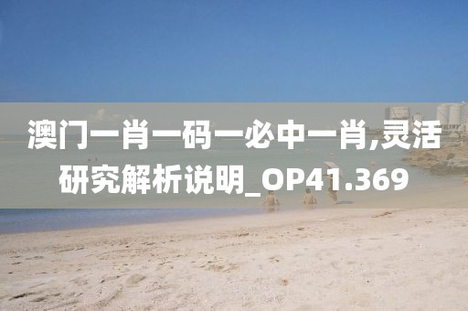 澳门一肖一码一必中一肖,灵活研究解析说明_OP41.369