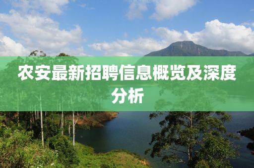 农安最新招聘信息概览及深度分析