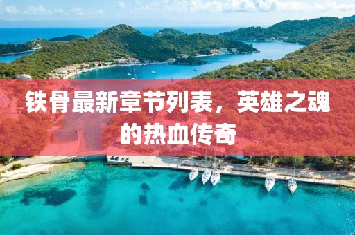 铁骨最新章节列表，英雄之魂的热血传奇