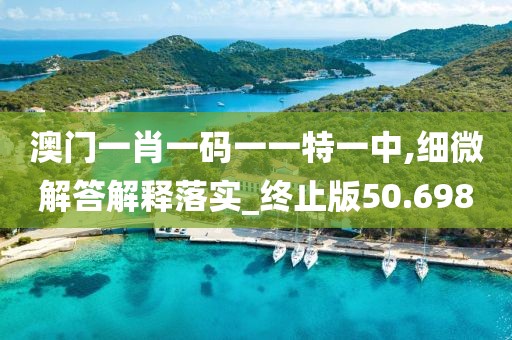 澳门一肖一码一一特一中,细微解答解释落实_终止版50.698