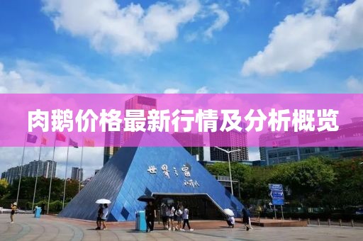 7777788888管家婆 第25页