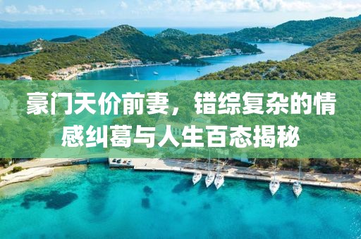 豪门天价前妻，错综复杂的情感纠葛与人生百态揭秘