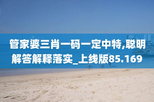 管家婆三肖一码一定中特,聪明解答解释落实_上线版85.169