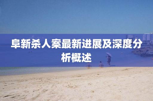 阜新杀人案最新进展及深度分析概述