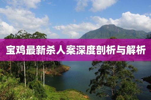 宝鸡最新杀人案深度剖析与解析