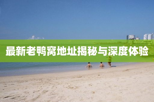 最新老鸭窝地址揭秘与深度体验