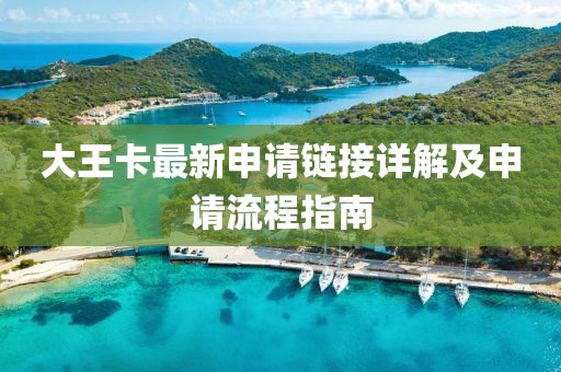 大王卡最新申请链接详解及申请流程指南