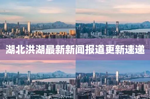 湖北洪湖最新新闻报道更新速递