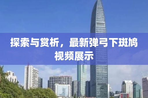 探索与赏析，最新弹弓下斑鸠视频展示