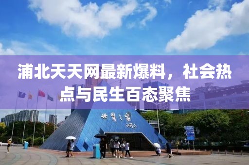 浦北天天网最新爆料，社会热点与民生百态聚焦