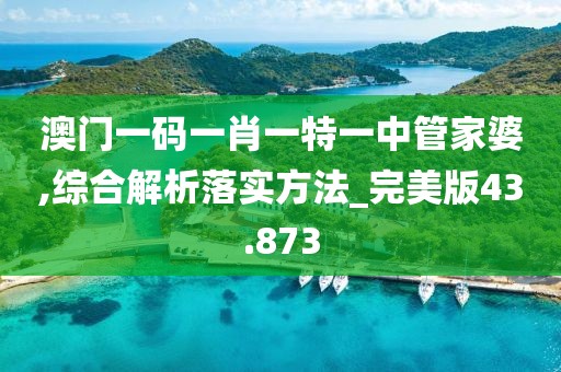 澳门一码一肖一特一中管家婆,综合解析落实方法_完美版43.873