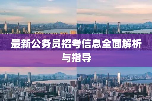最新公务员招考信息全面解析与指导