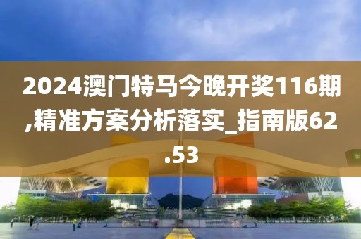 2024澳门特马今晚开奖116期,精准方案分析落实_指南版62.53