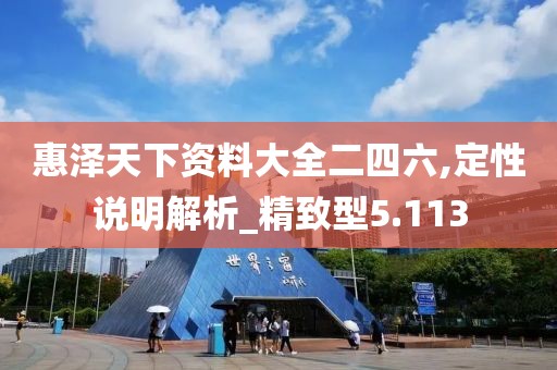 惠泽天下资料大全二四六,定性说明解析_精致型5.113