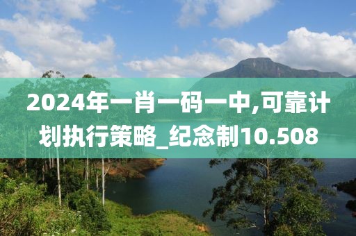 2024年一肖一码一中,可靠计划执行策略_纪念制10.508