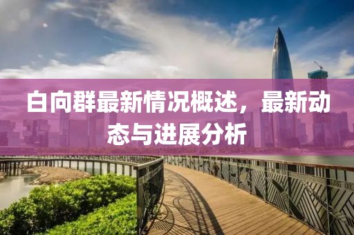 白向群最新情况概述，最新动态与进展分析
