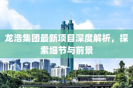 龙浩集团最新项目深度解析，探索细节与前景
