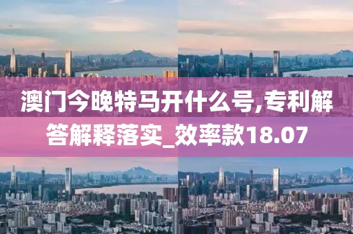 澳门今晚特马开什么号,专利解答解释落实_效率款18.07
