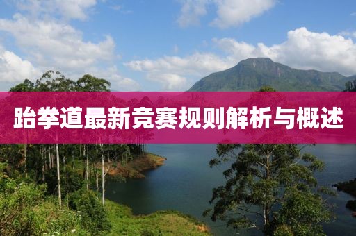 跆拳道最新竞赛规则解析与概述