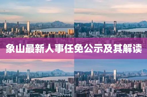象山最新人事任免公示及其解读