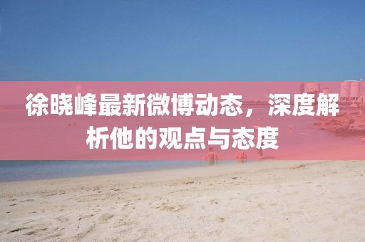 徐晓峰最新微博动态，深度解析他的观点与态度